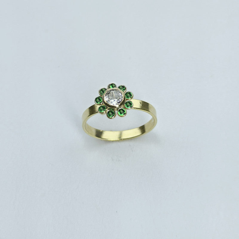 ANILLO NACIONAL 4