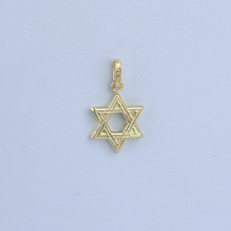 Dije Estrella de David 10mm