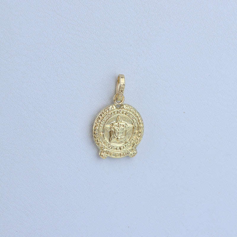 Dije Policia Nacional 14mm