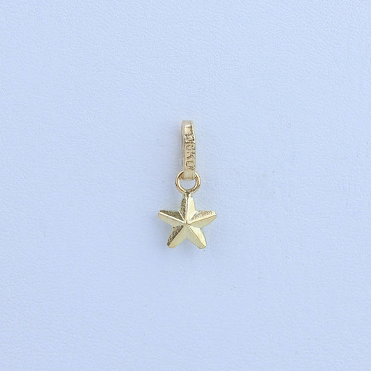 Dije estrella 6mm